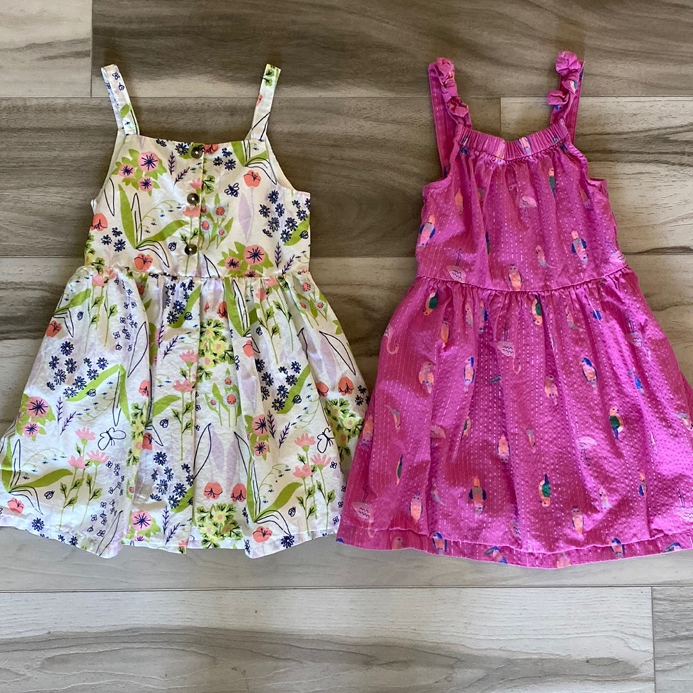 Cat and Jack and Carters Dresses